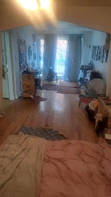 3 1/2 Hochelaga - Maisonneuve 930$ (Metro Joliette)