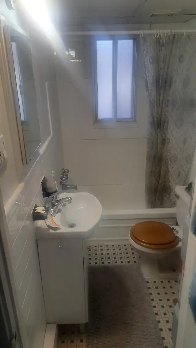 3 1/2 Hochelaga - Maisonneuve 930$ (Metro Joliette) - Photo 2