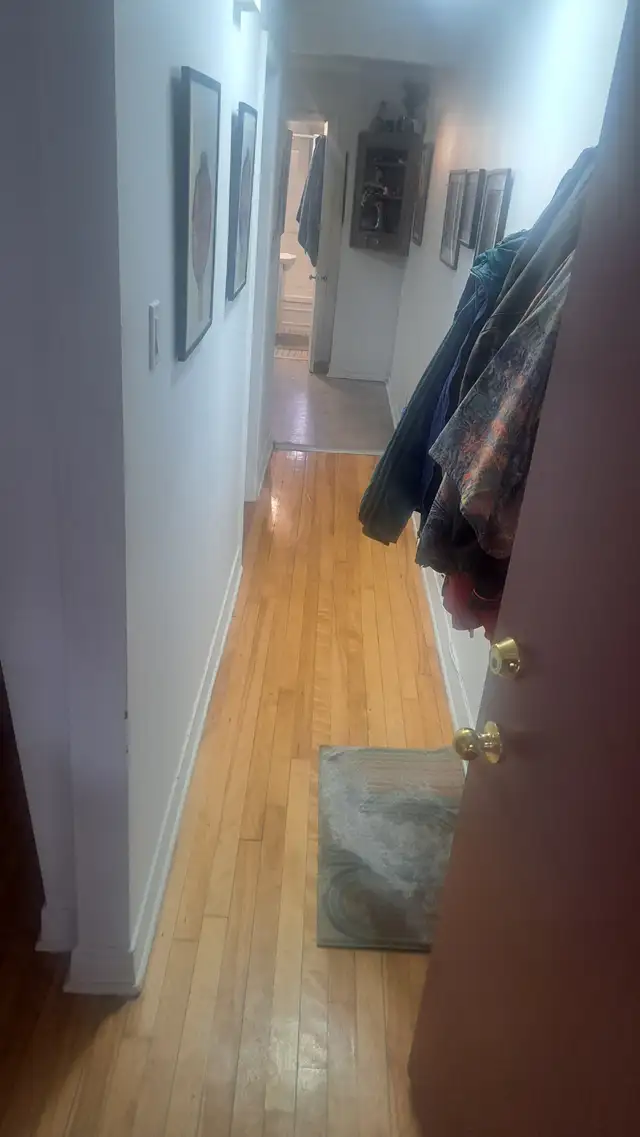 3 1/2 Hochelaga - Maisonneuve 930$ (Metro Joliette) - Photo 4