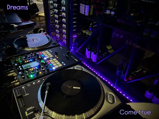 Wedding DJ Services - Photo 4