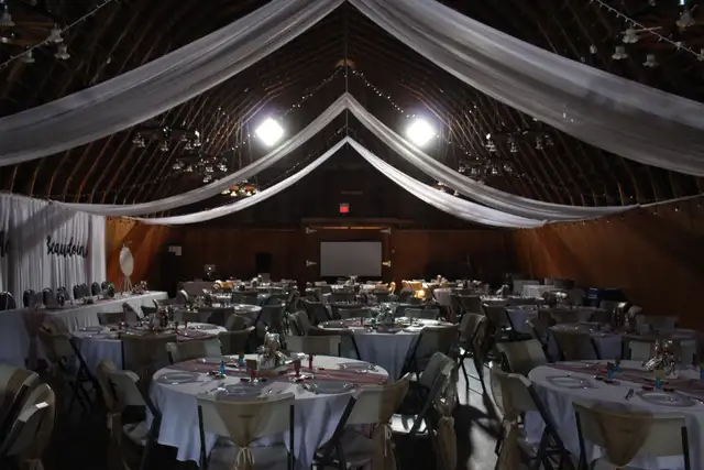 Wedding DJ Services - Photo 6