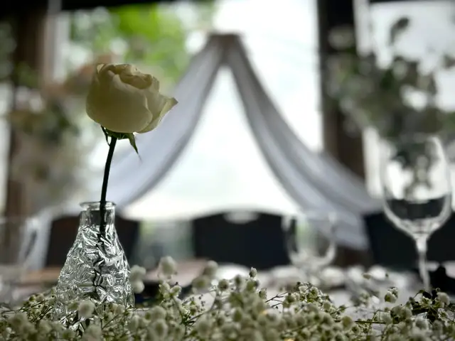 Wedding DJ Services - Photo 8