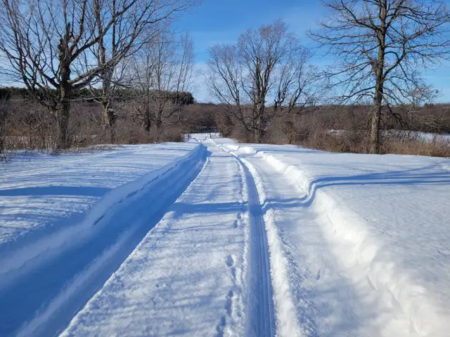 House for rent - Photo 2