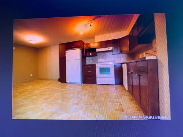 Pet friendly 2 bedroom apartment, own laundry close to downtoan - Photo 5