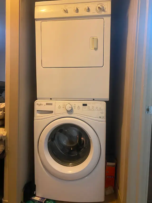 Pet friendly 2 bedroom apartment, own laundry close to downtoan - Photo 7