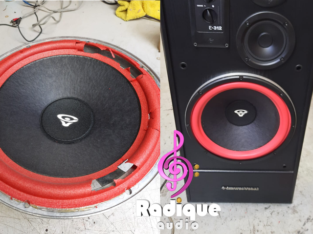 Radique Speaker Repair Services