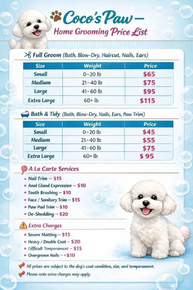 Professional Dog Grooming in NorthYork - from $6 - Photo 3
