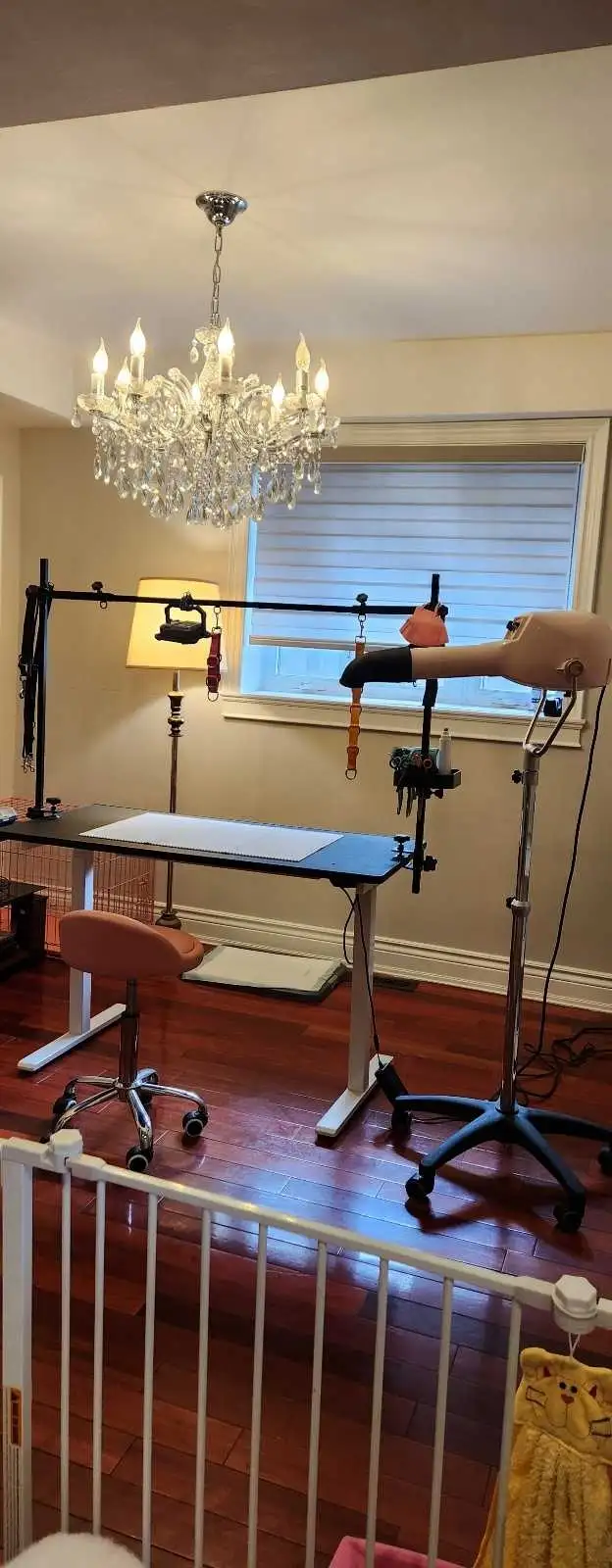 Professional Dog Grooming in NorthYork - from $6 - Photo 10