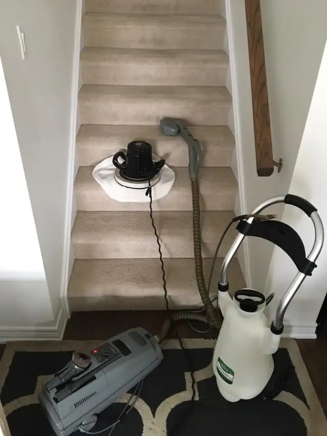 Complete Home Carpet and Sofa_Cleaning - Photo 2