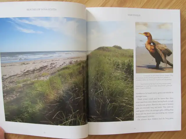 BEACHES OF NOVA SCOTIA by Allan Billard - 2015 - Photo 6