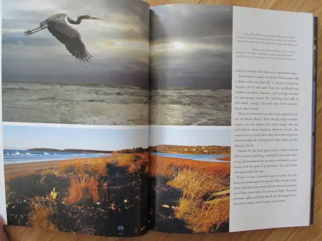 BEACHES OF NOVA SCOTIA by Allan Billard - 2015 - Photo 7