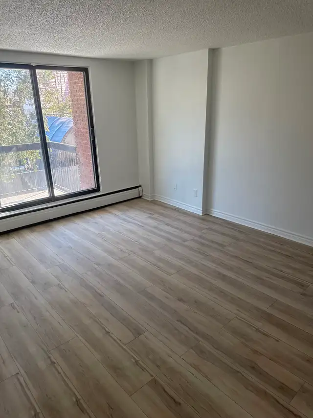 Painting and taping - Photo 2