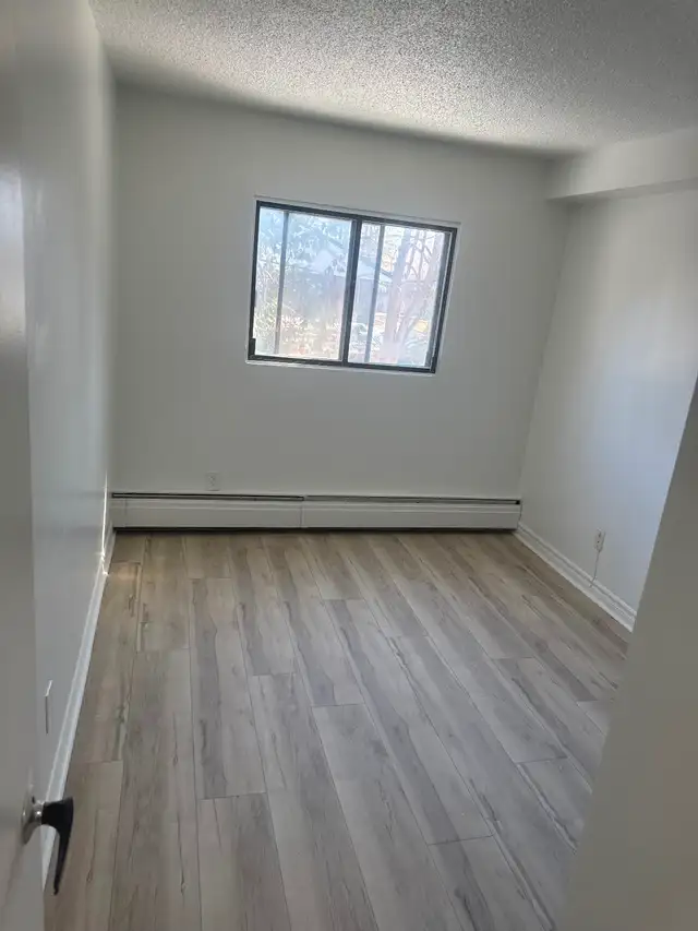 Painting and taping - Photo 4