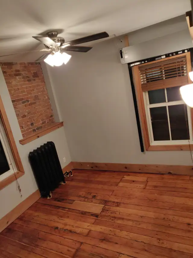 1 Bedroom Apartment For Rent ALL INCL, Downtown, KGH, Queens - Photo 8