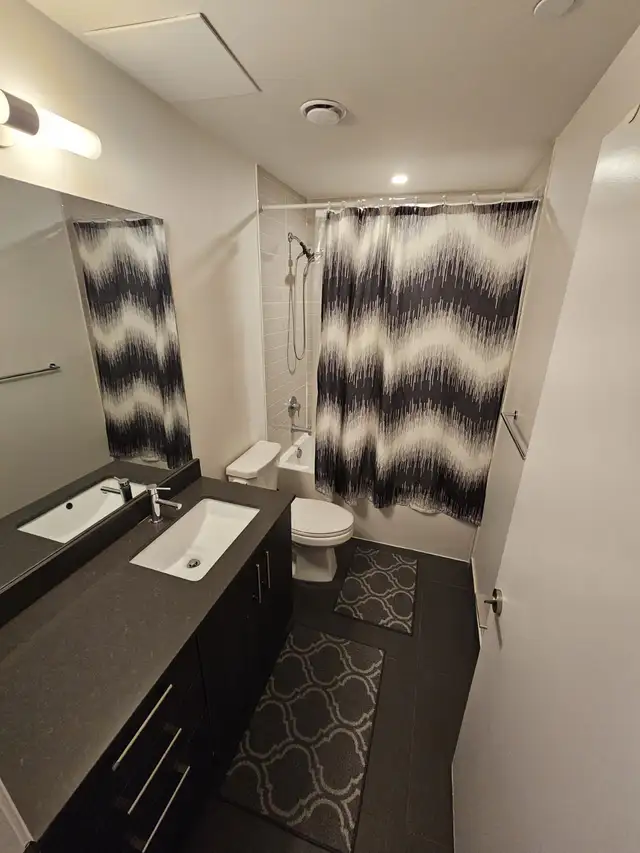 Spacious 1 bedroom 1 bath suite at Bathurst and Front - Photo 5