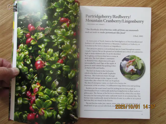 EDIBLE PLANTS OF ATLANTIC CANADA by Peter J. Scott - 2010 SC - Photo 6