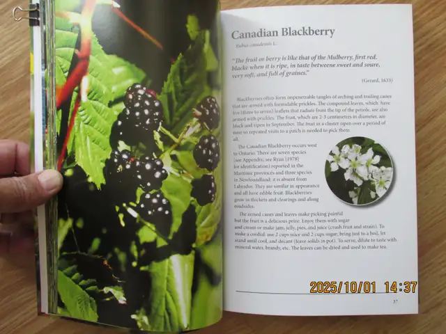 EDIBLE PLANTS OF ATLANTIC CANADA by Peter J. Scott - 2010 SC - Photo 7