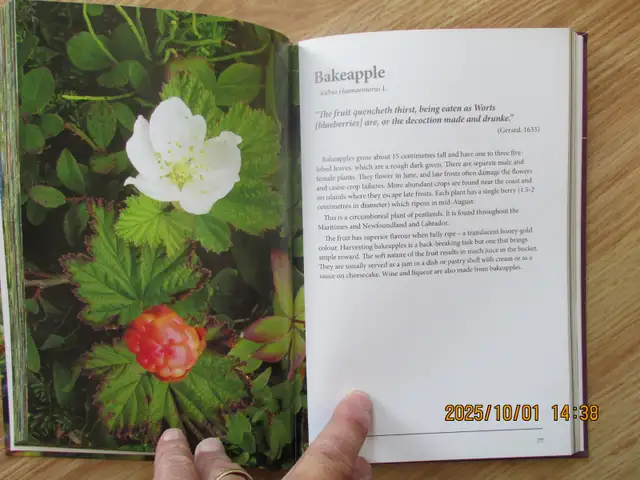 EDIBLE PLANTS OF ATLANTIC CANADA by Peter J. Scott - 2010 SC - Photo 8