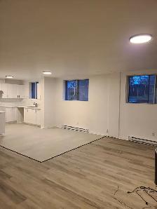 Grand 3 1/2 totalement rénové