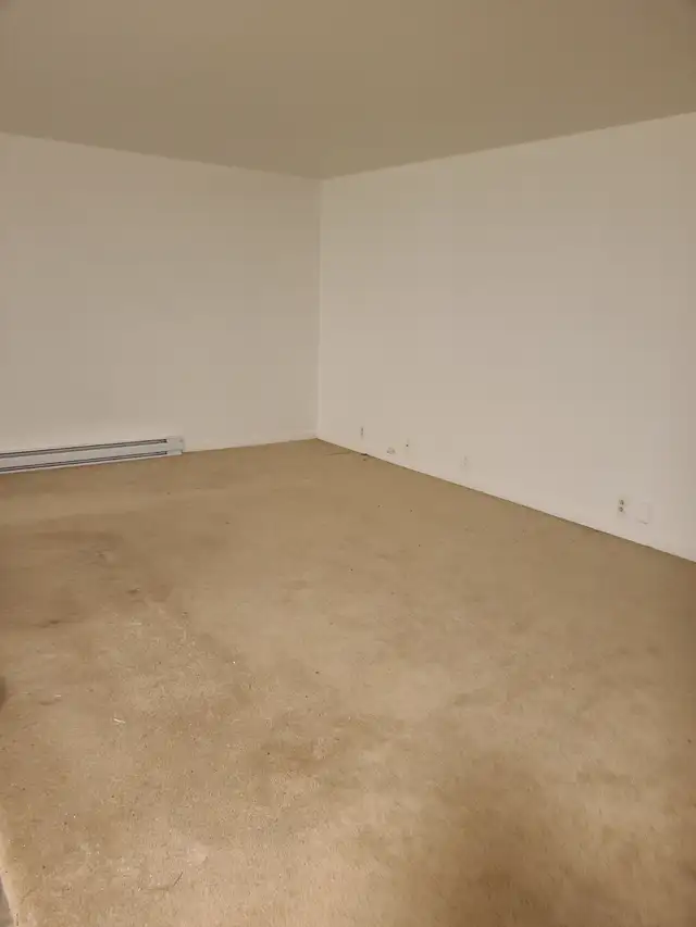 Grand 3 1/2 totalement rénové - Photo 4