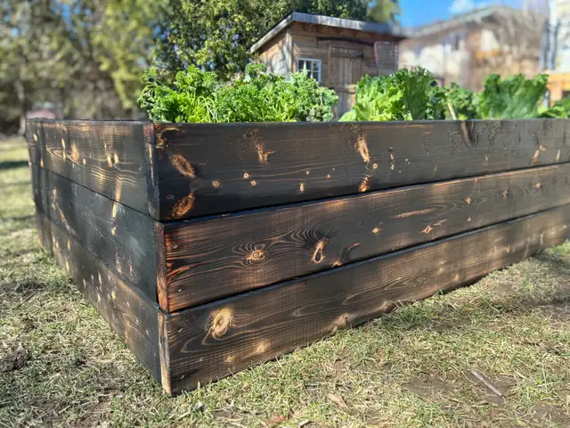 Charred Wood Garden Beds in Markham - Photo 2