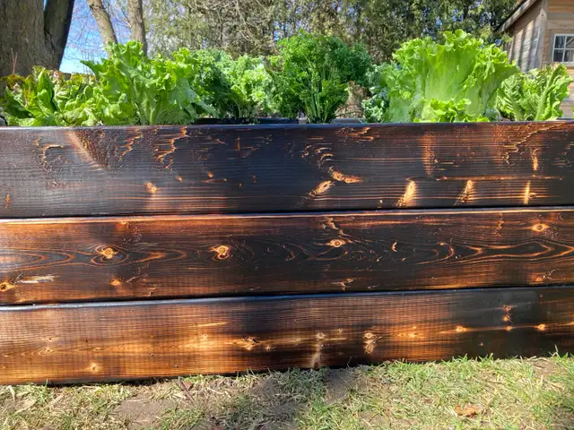 Charred Wood Garden Beds in Markham - Photo 7