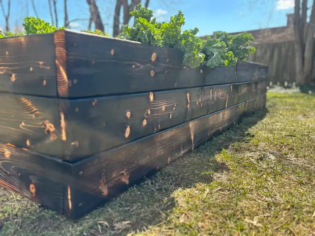 Charred Wood Garden Beds in Markham - Photo 8