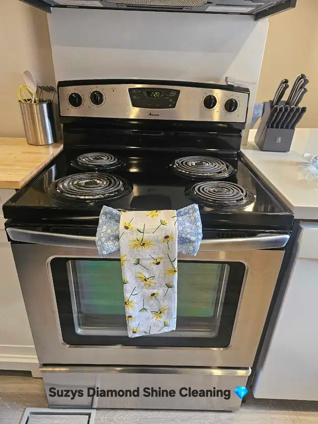 Suzys Diamond Shine Cleaning