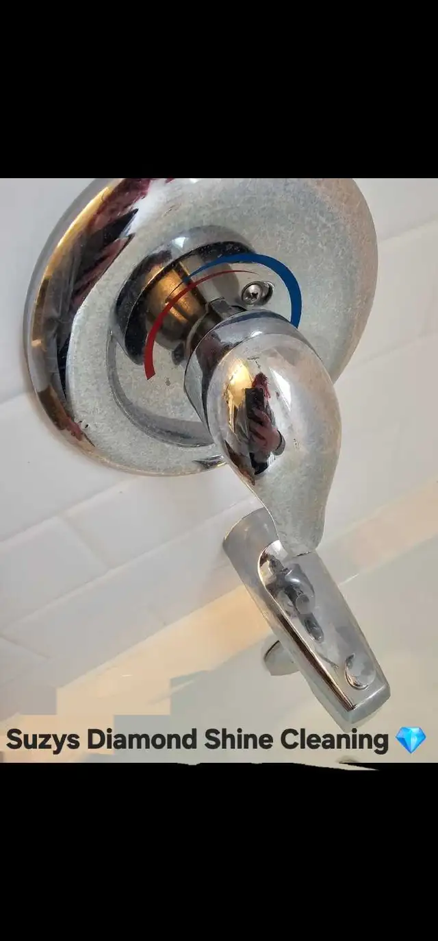 Suzys Diamond Shine Cleaning - Photo 2