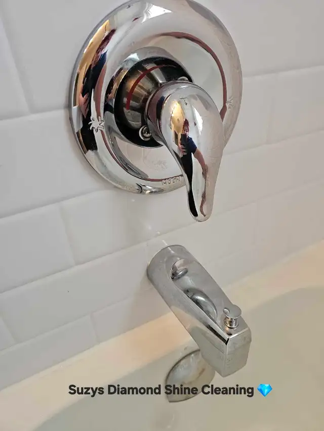 Suzys Diamond Shine Cleaning - Photo 3