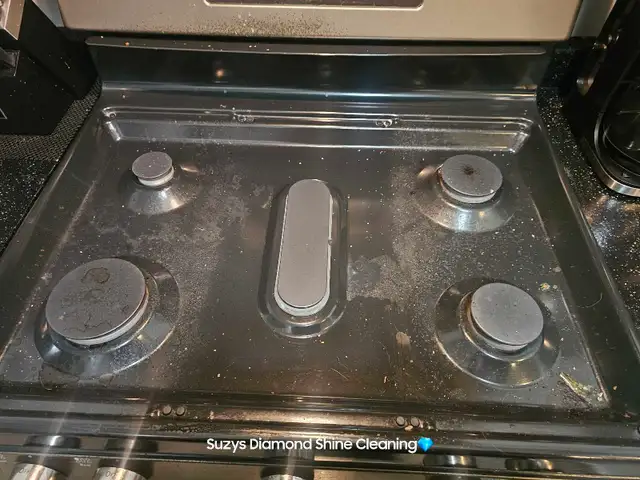 Suzys Diamond Shine Cleaning - Photo 6