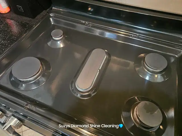 Suzys Diamond Shine Cleaning - Photo 7