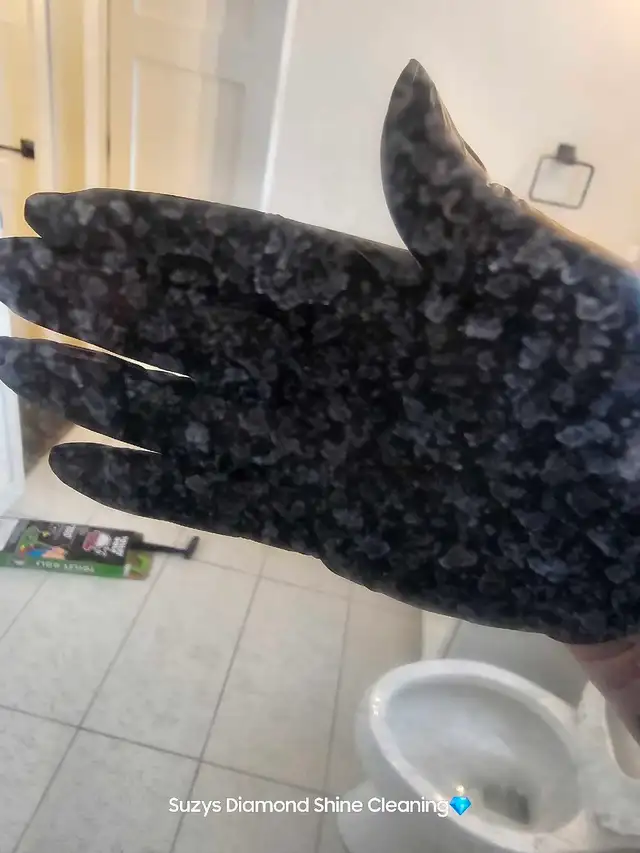 Suzys Diamond Shine Cleaning - Photo 8