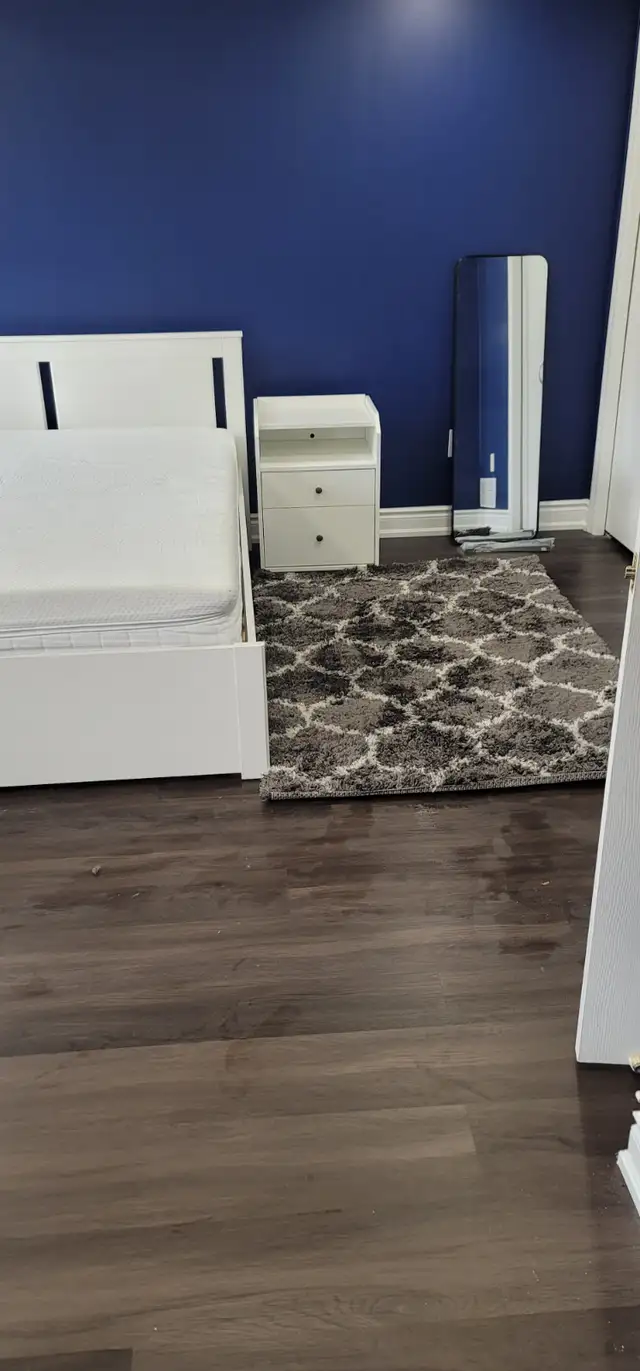 Summer Sublet - Spacious 4 Bedroom  4 Bathrooms Townhouse - Photo 4