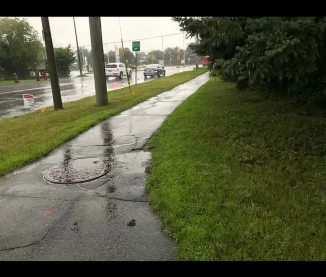 SPRING BACKYARD CLEAN-UP SPECIAL! - Photo 3