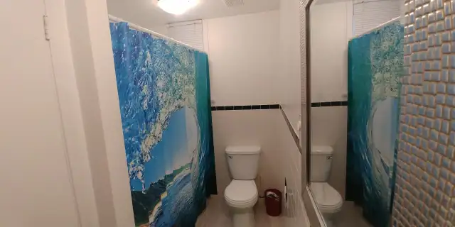 Voisine Université Laval  à partir du 1er juillet au 1/2 ss - Photo 3