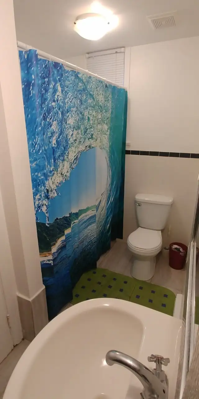 Voisine Université Laval  à partir du 1er juillet au 1/2 ss - Photo 4