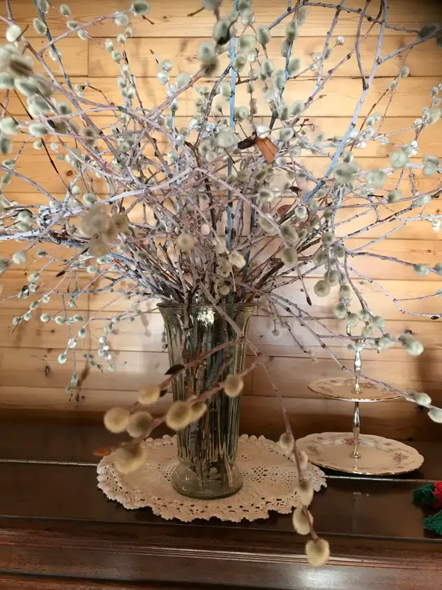 PUSSYWILLOW BOUQUETS FROM EUROPEAN VARIETIES - Photo 5