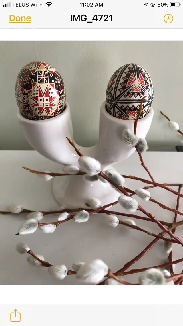 PUSSYWILLOW BOUQUETS FROM EUROPEAN VARIETIES - Photo 7