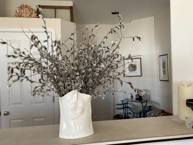 PUSSYWILLOW BOUQUETS FROM EUROPEAN VARIETIES - Photo 8