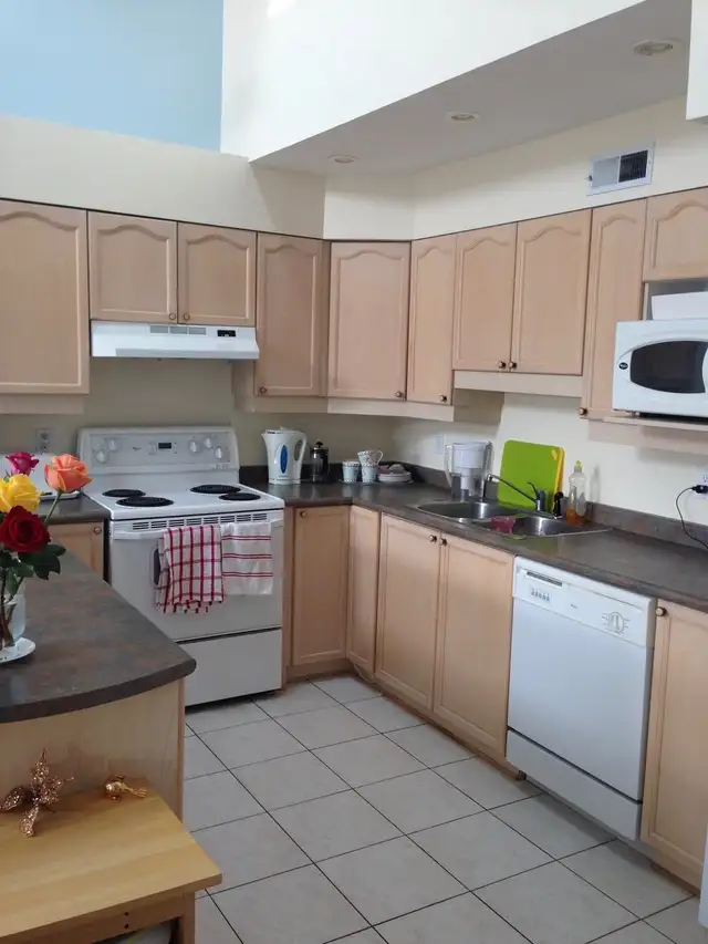 Large 1 Bedroom, 2 Bathroom - Golden Triangle - Photo 4