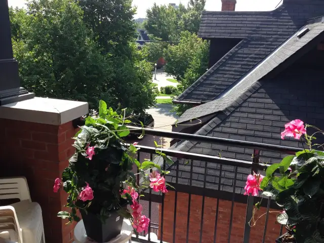 Large 1 Bedroom, 2 Bathroom - Golden Triangle - Photo 9