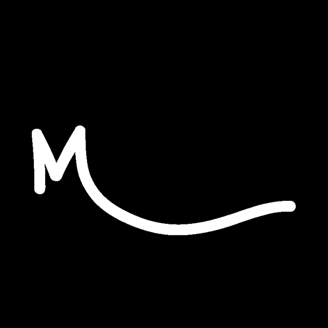 Server for busy restaurant