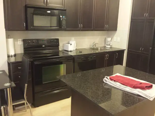 BEST LOCATION/SPECTACULAR VIEW 2 BEDS FURNISHED CONDO  S/L RENT - Photo 9