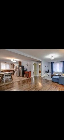 Grand 3 1/2 à louer - un mois gratuit