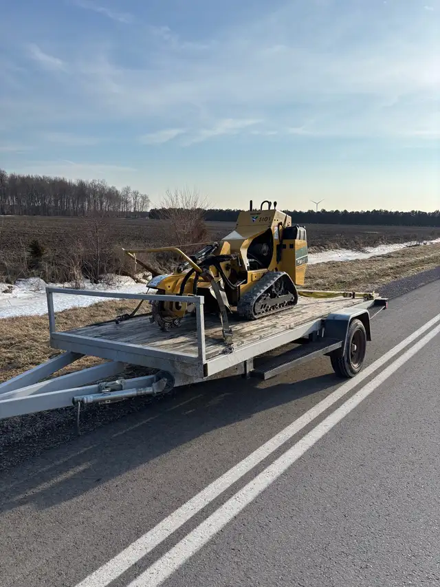 Tree Removal - Photo 7