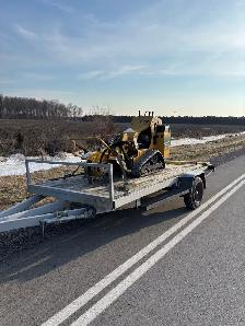 Tree Removal - Photo 7