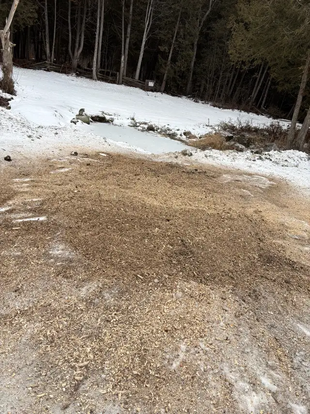 Tree Removal - Photo 9