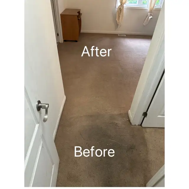 Carpet & Sofa Cleaning Scarborough | Call or Text for Quote