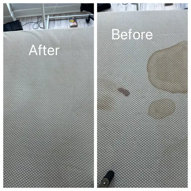 Carpet & Sofa Cleaning Scarborough | Call or Text for Quote - Photo 2